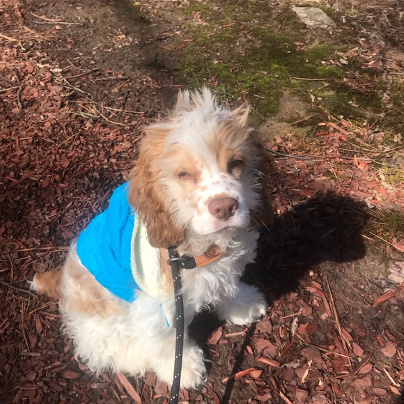 Meet your Posher, Naomi - Picture 3 of 11